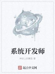 系统开发师封面