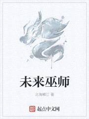 未来巫师封面