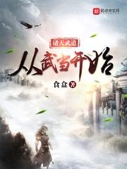 诸天武道从武当开始封面